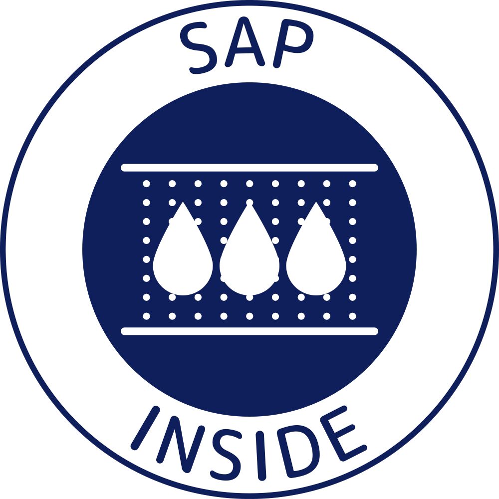 SAP inside