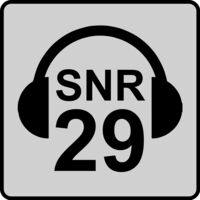 SNR 29